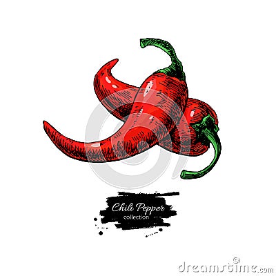 Chili Pepper hand drawn vector illustration. Vegetable object. hot spicy mexican flavor. Vector Illustration