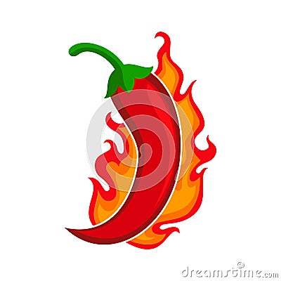 Chili pepper red hot burn for spicy flavor for food taste. Vector spicy chili pepper in fire burning Vector Illustration