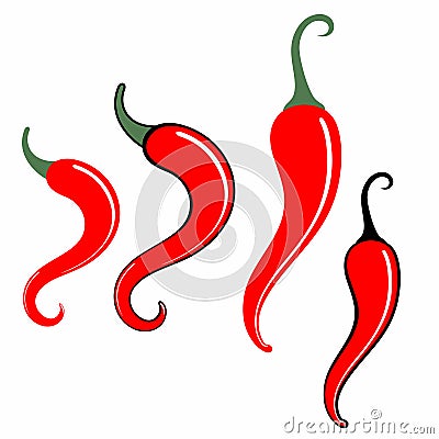 Chili Pepper Vector Illustration