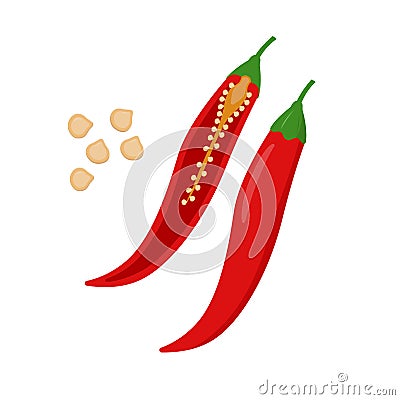 Chili pepper vector flat illustration. Whole and halved chilli and seeds isolated on white background. Packaging design Vector Illustration