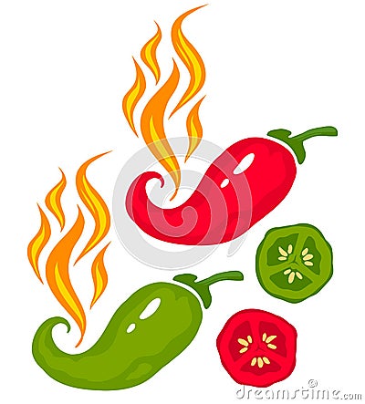 Chili pepper Vector Illustration