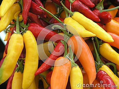Chili peppers Stock Photo