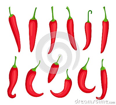 Chili peppers. Cartoon spicy hot red pepper. Cayenne and capsaicin spice ingredient for chilli sauce. Mexican pepper Vector Illustration