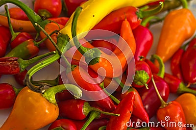 Chili peppers of different colors and flavours Stock Photo