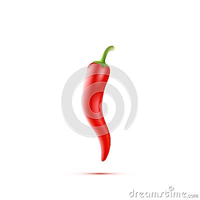 Chili Peppers isolated on white Background. Vector Vector Illustration