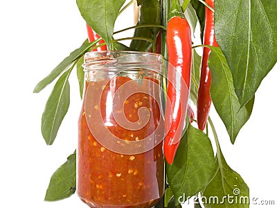 Chili plant with sambal Stock Photo