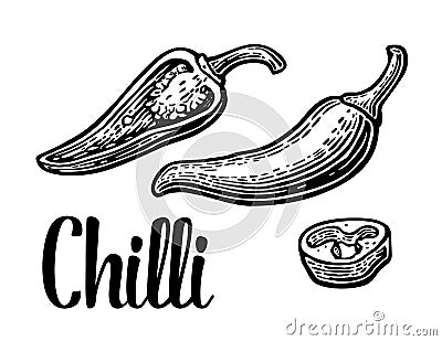 Chilli pepper whole, half, slices isolated on white background. Vector vintage engraved Vector Illustration