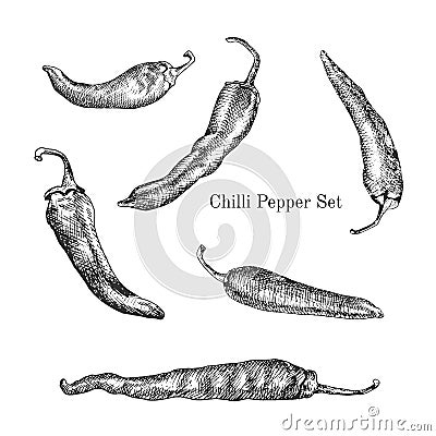 Chilli peppers ink sketches set Vector Illustration