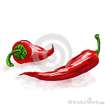 Chilli peppers Vector illustration hand drawn Vector Illustration