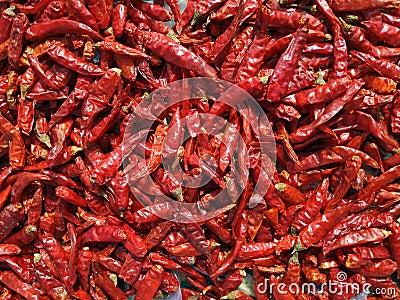 Chillies bright texture. Drying mirchi in sunny. Byadagi mirchi, Indian hot spices. Chilli Capsicum pepper used in spicy food Stock Photo