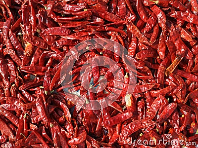 Chillies bright texture. Drying mirchi in sunny. Byadagi mirchi, Indian hot spices. Chilli Capsicum pepper used in spicy food Stock Photo