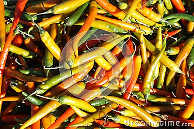 Chillis Stock Photo