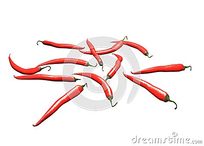 Chilly pepper isolated on white Stock Photo