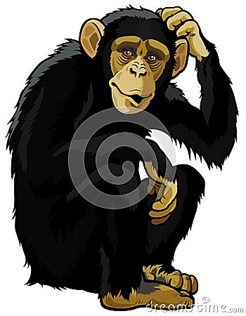 Chimpanzee Vector Illustration