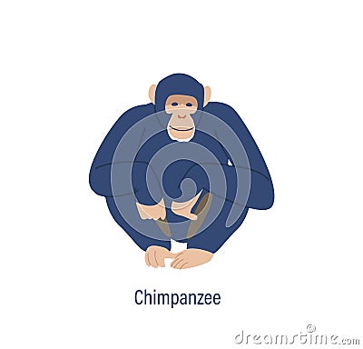 Chimpanzee Monkey, Ape Wild Animal, Chinese Horoscope Symbol, Isolated China Lunar New Year Zodiac Animal For 2028 Vector Illustration