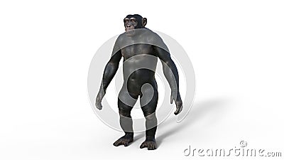 Chimpanzee monkey, primate ape standing, wild animal isolated on white background, 3D render Cartoon Illustration