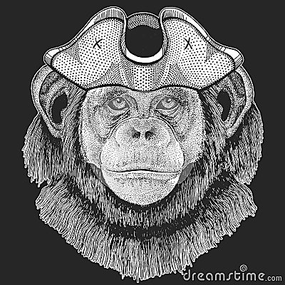 Chimpanzee, portrait. Pirate cocked hat. Sailor. Monkey face. Ape head. Vector Illustration