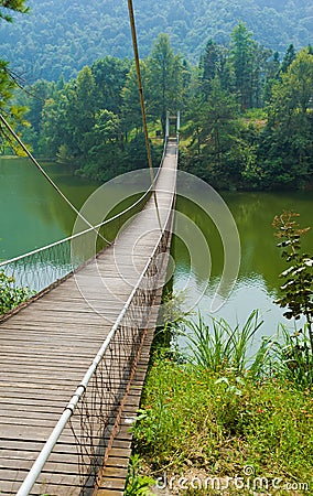 China Longyuan Gorge Bridge jungle Stock Photo