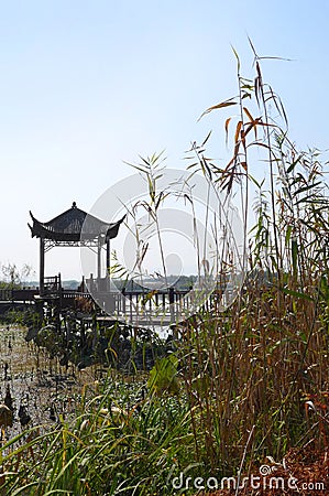 China national wetland reserve park Stock Photo