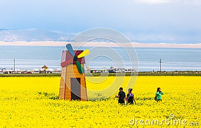 China Qinghai Lake in bloom Editorial Stock Photo