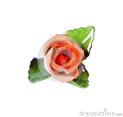 China rose Stock Photo