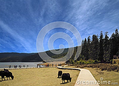 China's shangri-la Stock Photo