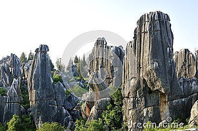 China's Stone Forest Stock Photo
