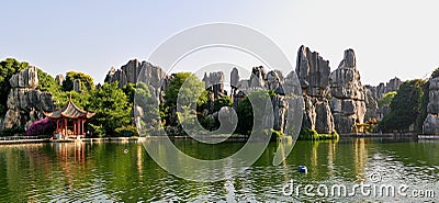 China's Stone Forest Stock Photo