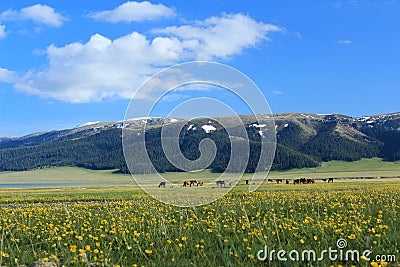 China Sinkiang, Sailimu Lake Stock Photo