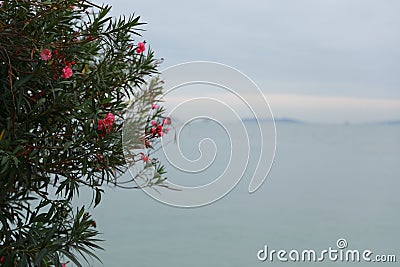 China Xiamen sea scenery of Fujian Province Stock Photo