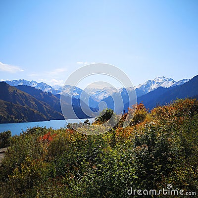 China Xinjiang beautiful lake and forest and snow mountain Stock Photo