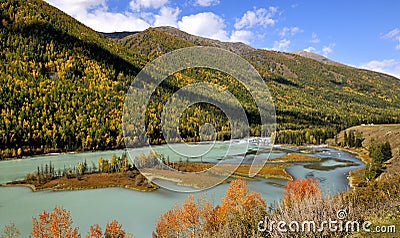 China/xinjiang:wolong bay whole picture in kanas resort Stock Photo