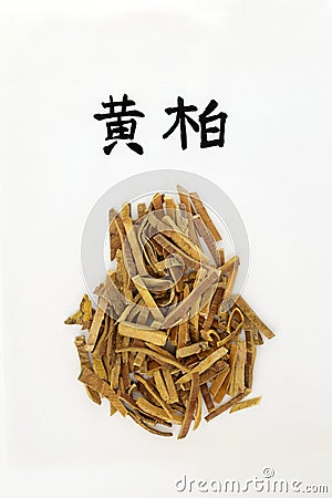 Chinese Amur Cork Tree Bark Herb Stock Photo
