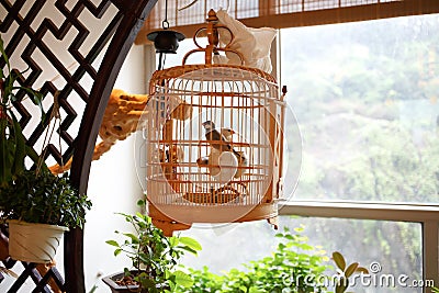 Chinese bird cages Stock Photo