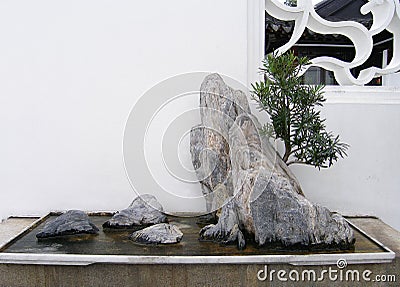 Chinese bonsai rock and tree Stock Photo