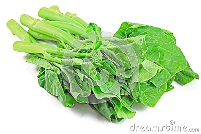 Chinese Broccoli Stock Photo