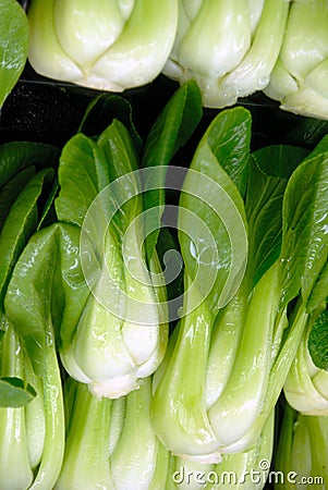 Chinese Cabage Stock Photo