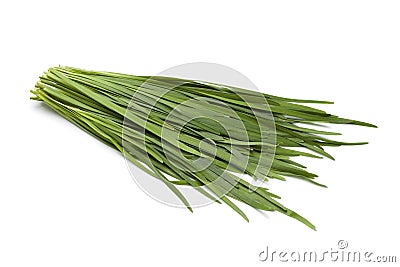 Chinese chives Stock Photo
