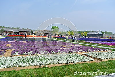 EXPO 2019, Chinese Classical Garden, Chinese Architectures, Chinese Culture, 2019 Beijing International Horticultural Exposition Editorial Stock Photo