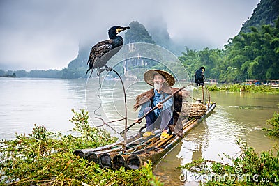 Chinese Cormorant Fisherman Editorial Stock Photo