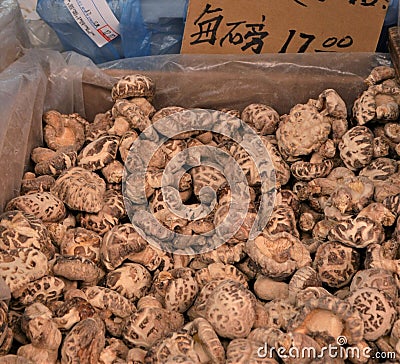 Dried Mushrooms Editorial Stock Photo