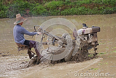 Chinese farmer preparing the rice fields for planting Editorial Stock Photo