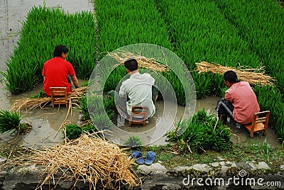 Chinese Farmer In Sichuan Editorial Stock Photo