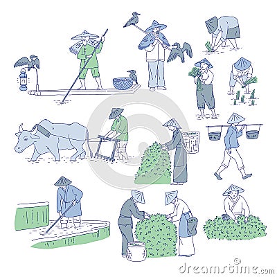 Chinese farmers and fishermen in traditional costumes. Vector line art set people plant rice, grow tea and go fishing Vector Illustration