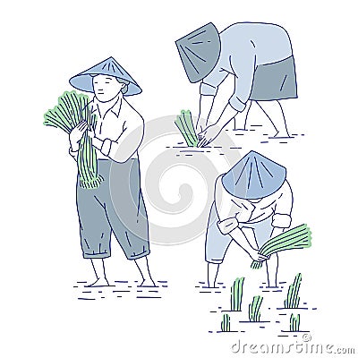 Chinese farmers planting rice seedlings. Vector set line art people in traditional costume asian agricultural culture. Vector Illustration