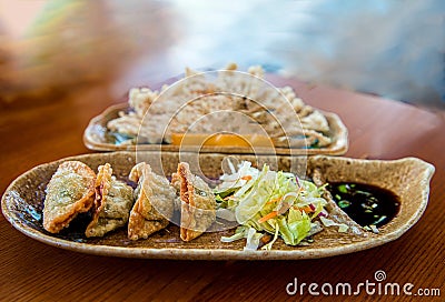 Chinese fried dumplings on a plate with soy sauce and vegetable salad close frame shoot indoor Stock Photo