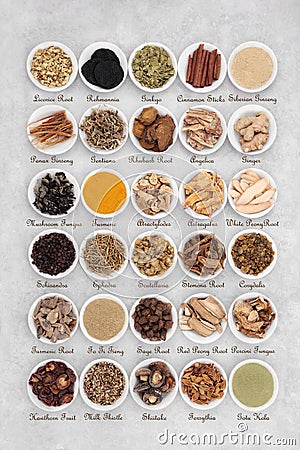 Chinese Fundamental Herbs with Titles Stock Photo