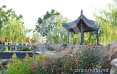 China garden Stock Photo