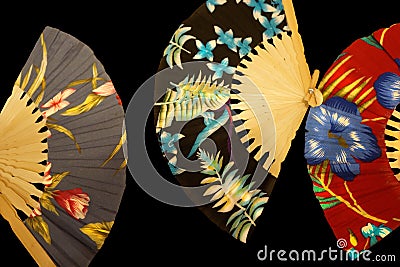 Chinese Fans With Tropical Floral Patterns Isolated Stock Photo