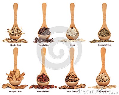 Chinese Herbal Medicine Stock Photo